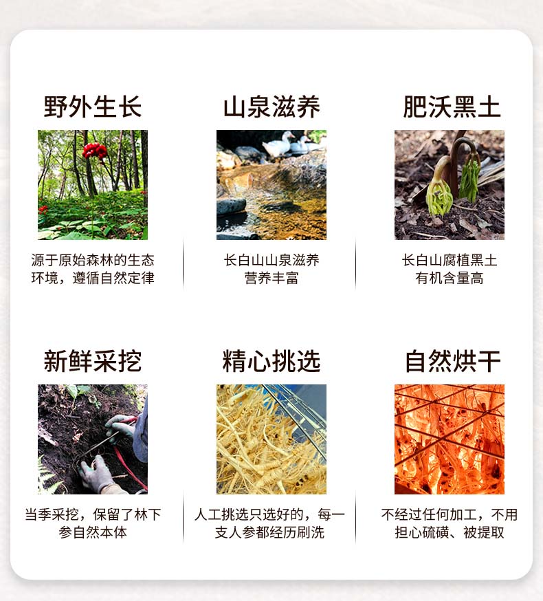 人参长白山野山参东北林下参生晒人参20年泡酒山参礼盒装干货整枝