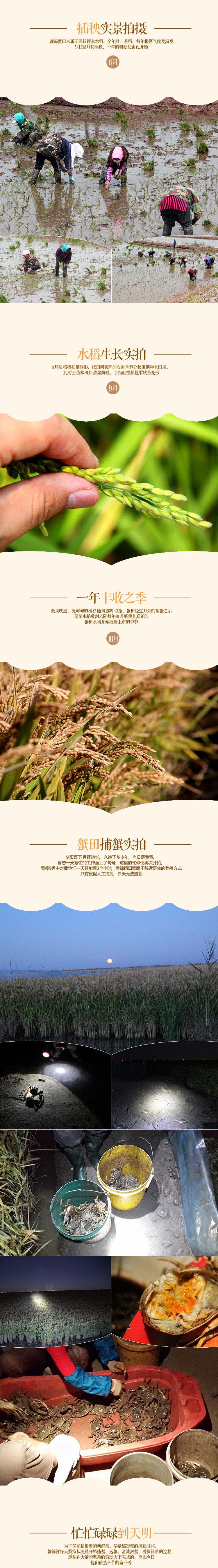 盘锦蟹田大米2022新米无香味东北粳米圆粒5KG真空礼盒米箱蟹锦祥