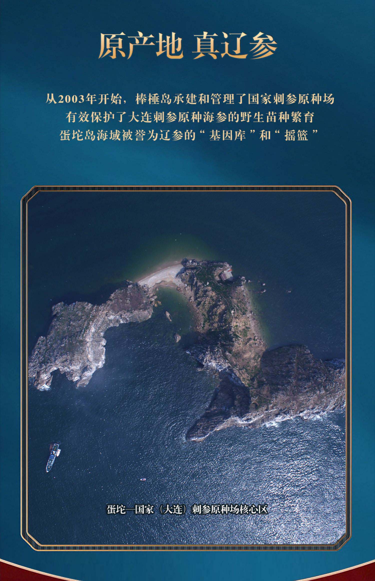 棒棰岛旗舰店大连海参干货100g底播干海参孕妇非即食有机辽参礼盒
