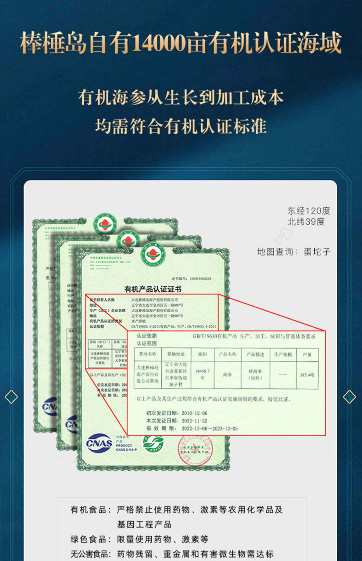 棒棰岛旗舰店大连海参干货100g底播干海参孕妇非即食有机辽参礼盒
