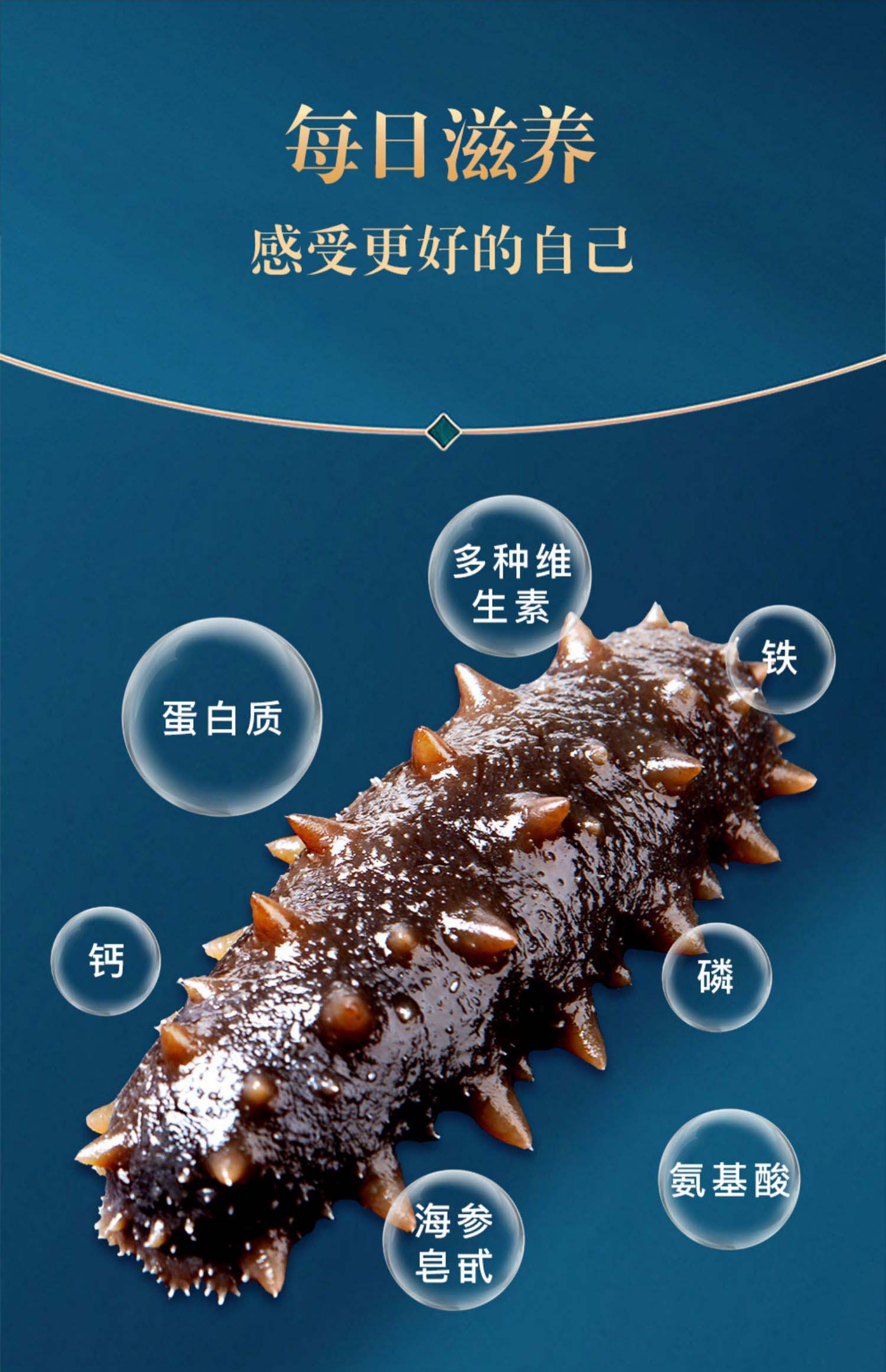棒棰岛旗舰店大连海参干货100g底播干海参孕妇非即食有机辽参礼盒