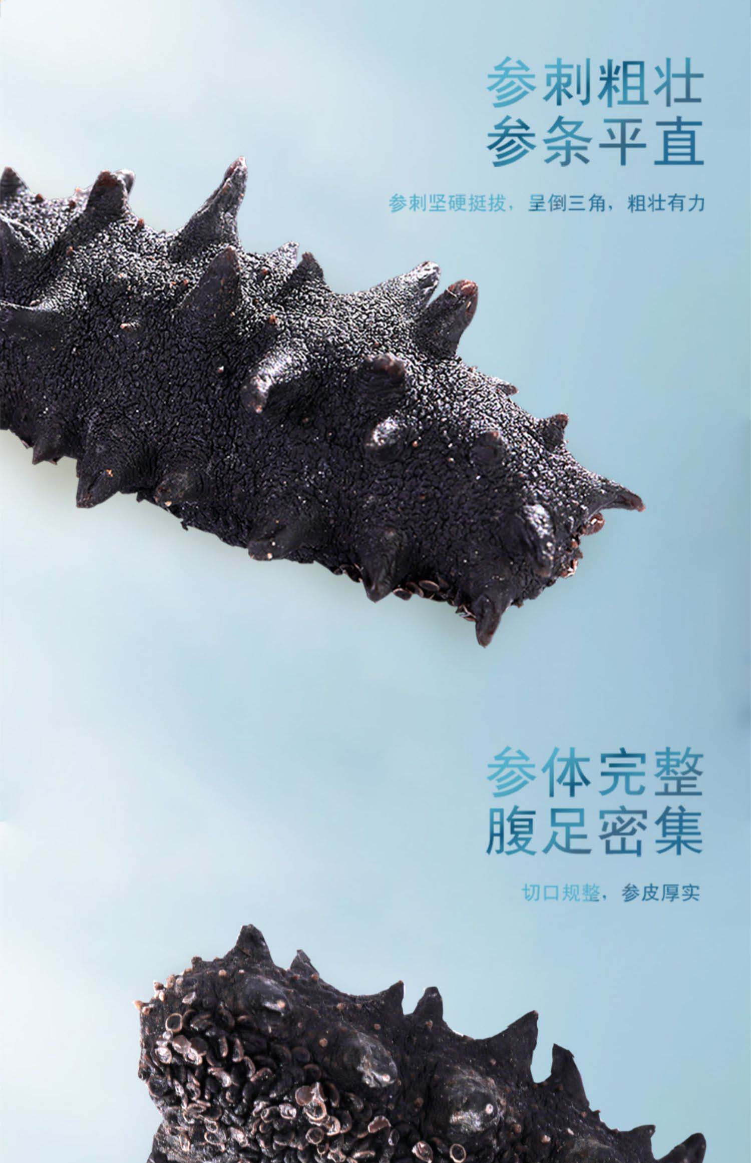 棒棰岛旗舰店大连海参干货100g底播干海参孕妇非即食有机辽参礼盒