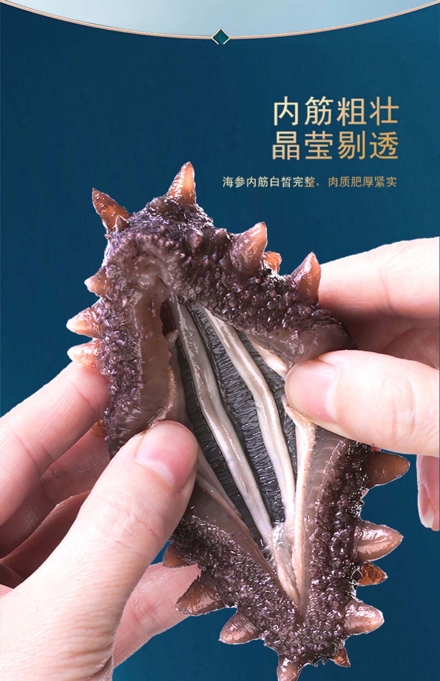棒棰岛旗舰店大连海参干货100g底播干海参孕妇非即食有机辽参礼盒